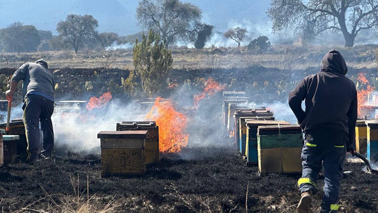 Protección Civil de Ixtenco atiende incendio de pastizal; reportan afectación a colmenas