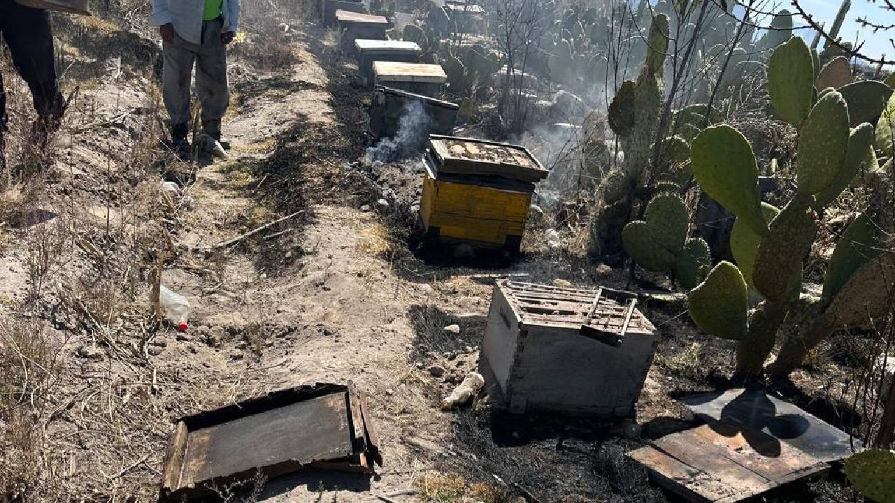Incendio en parcela afecta apiario; Protección Civil de Ixtenco logra controlarlo