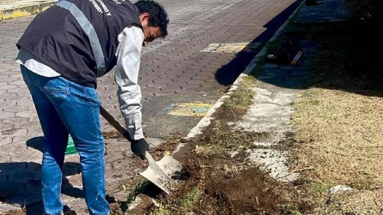 Gobierno de Alfonso Sánchez lleva brigadas de “más territorio y menos escritorio” a las calles y mejora la vida de la gente