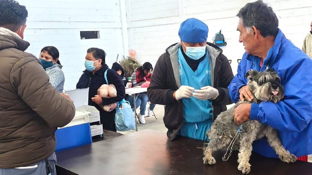En acción coordinada Ayuntamiento de Tlaxcala y la SESA pondrán en marcha la campaña nacional de vacunación antirrábica canina y felina