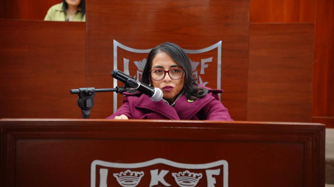 Presenta Gabriela Hernández exhorto para ampliar espacios de estacionamiento para personas con discapacidad y movilidad limitada