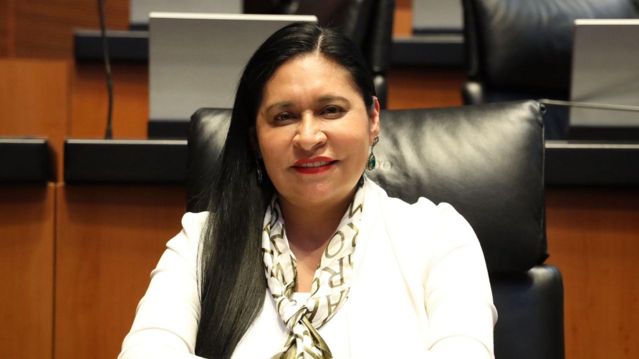 Cooperación con EUA sí, pero sin vulnerar la soberanía de México: Ana Lilia Rivera