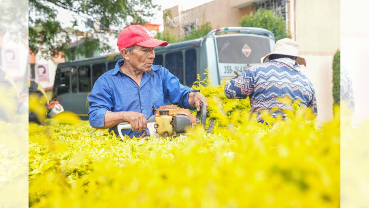 Continua en calles del centro de la capital exitoso trabajo de “Más Territorio y Menos Escritorio”