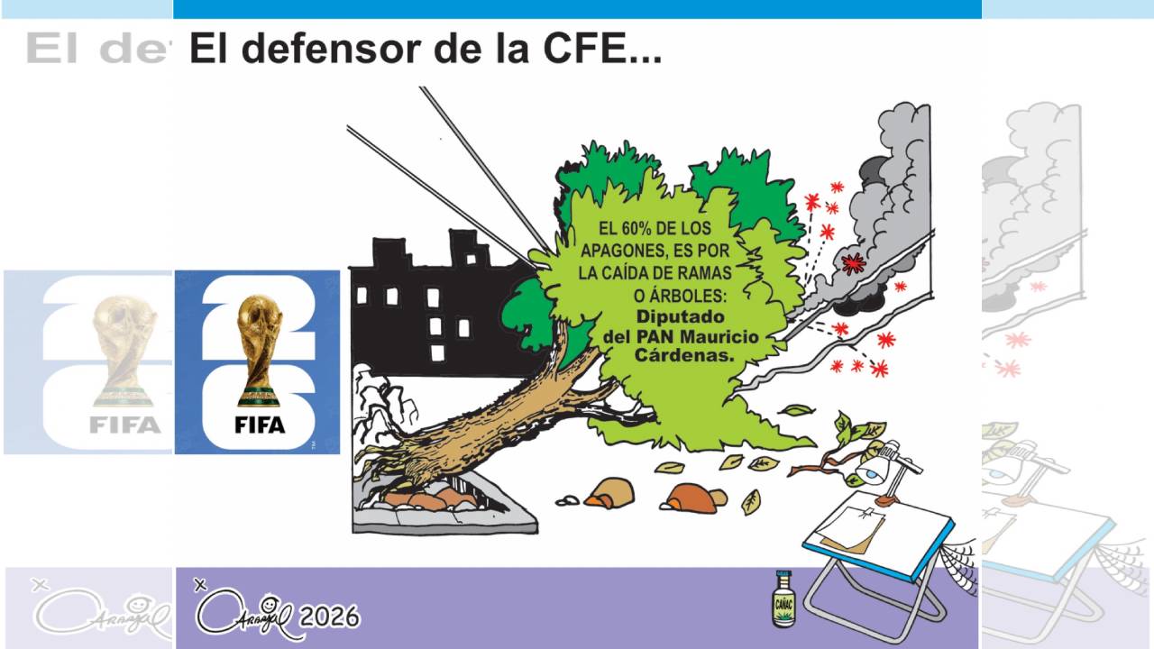 El defensor de la CFE