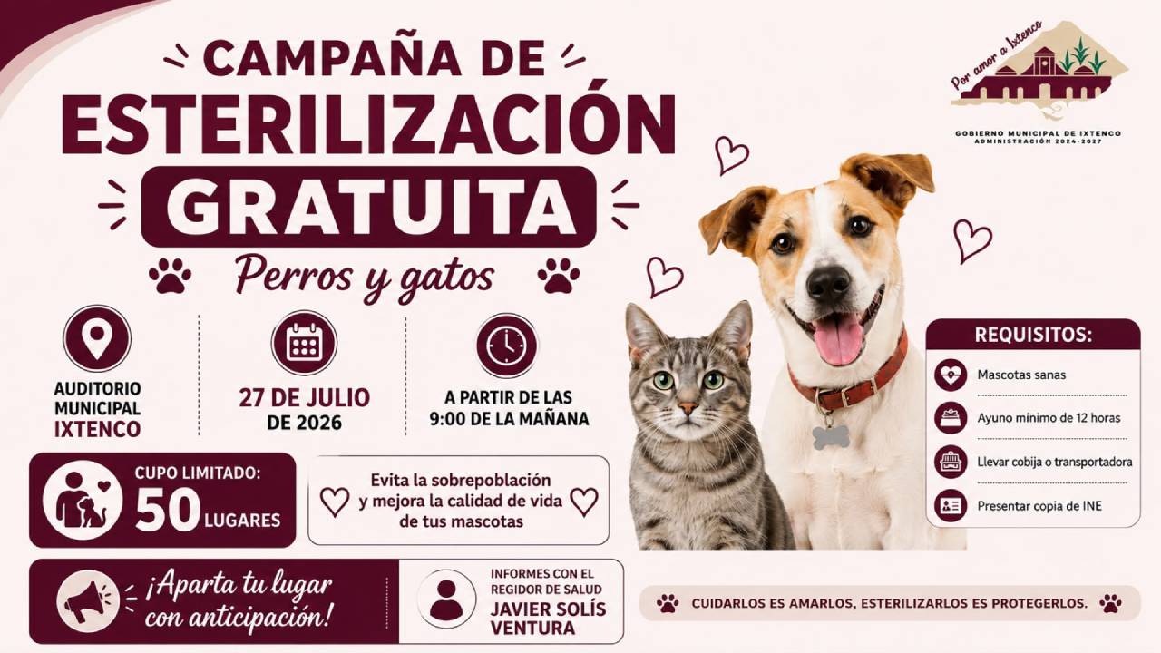 Llega a Ixtenco la campaña gratuita de esterilización canina y felina