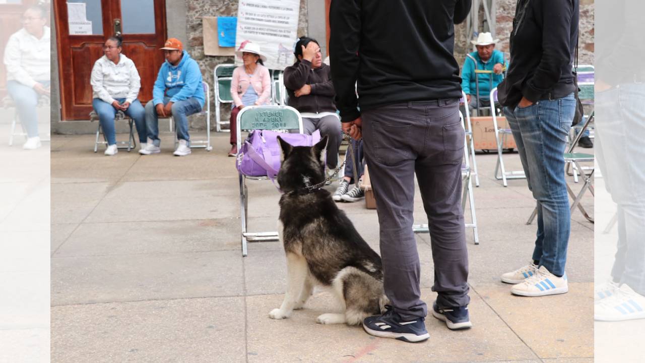 Con alta participación ciudadana, Ixtenco fortalece el bienestar animal