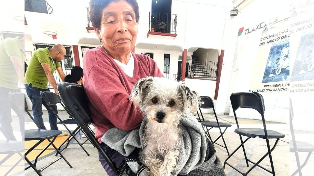 Ayuntamiento de Tlaxcala cierra con éxito campaña de bienestar animal; Realiza 705 esterilizaciones
