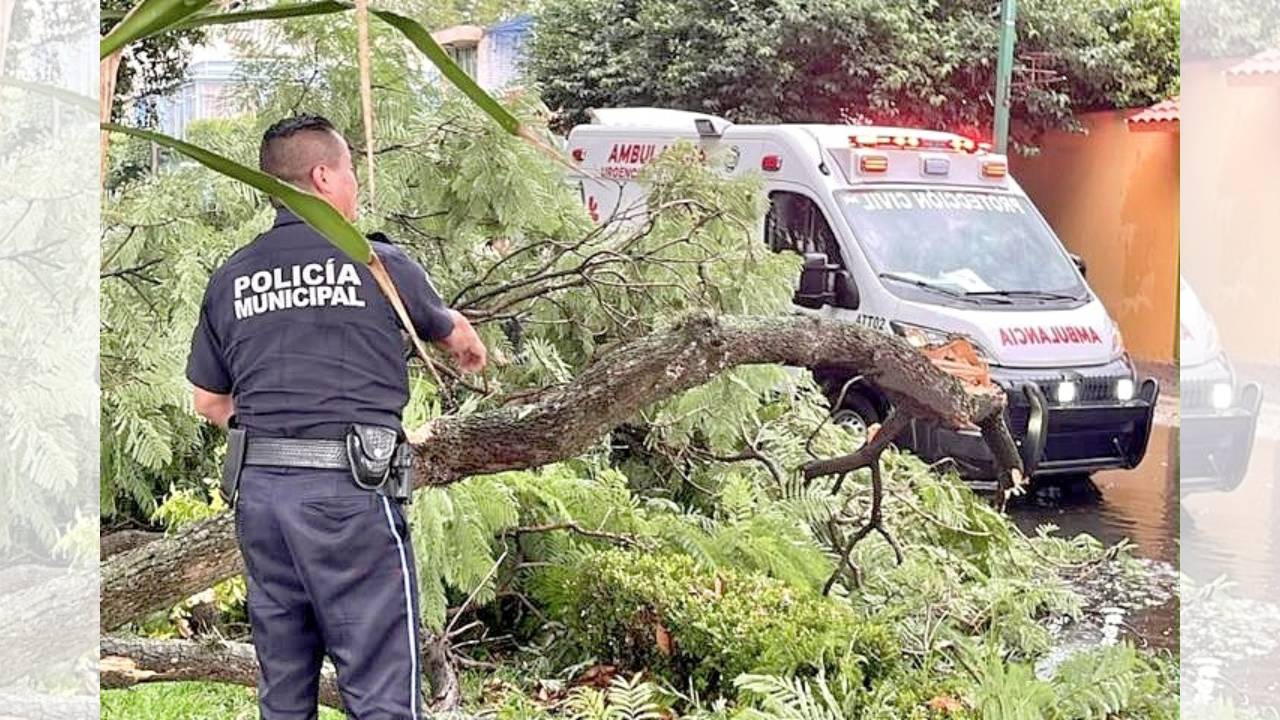 Tras intensa lluvia se activa respuesta inmediata de las brigadas municipales en la capital