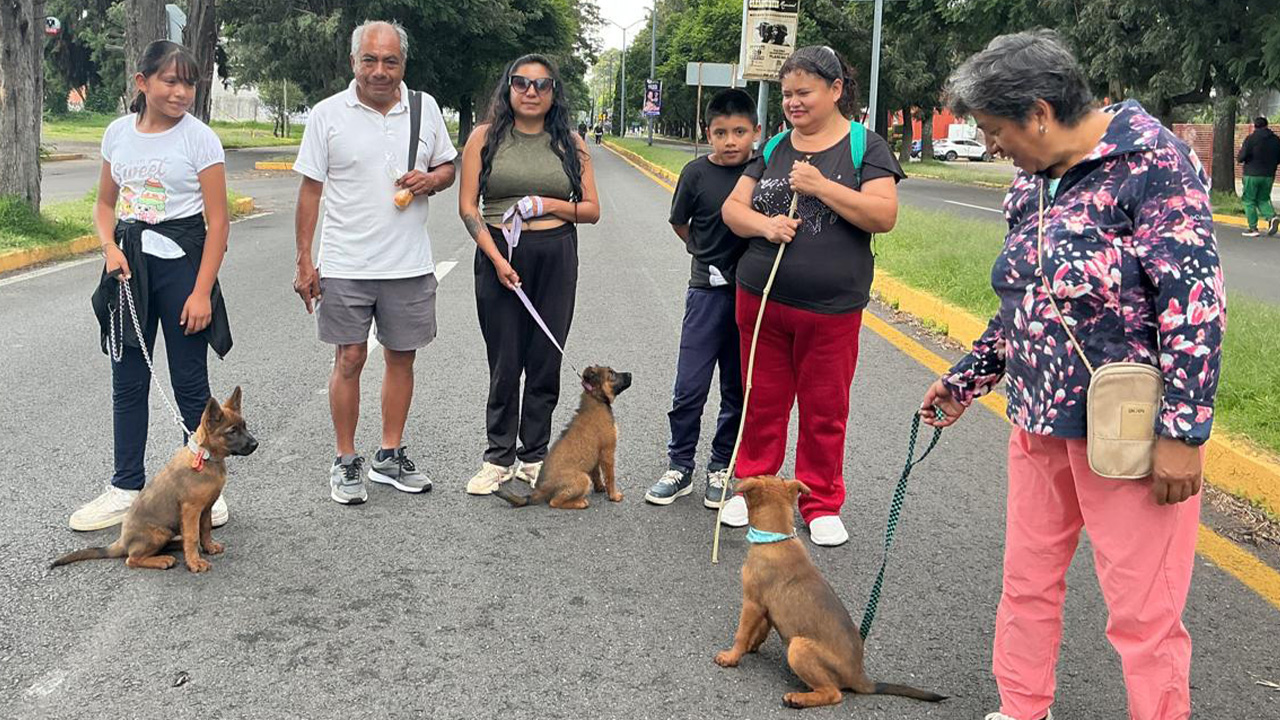 Aprovechamos cada domingo para salir a activarnos”, afirman participantes de muévete Tlaxcala en la capital