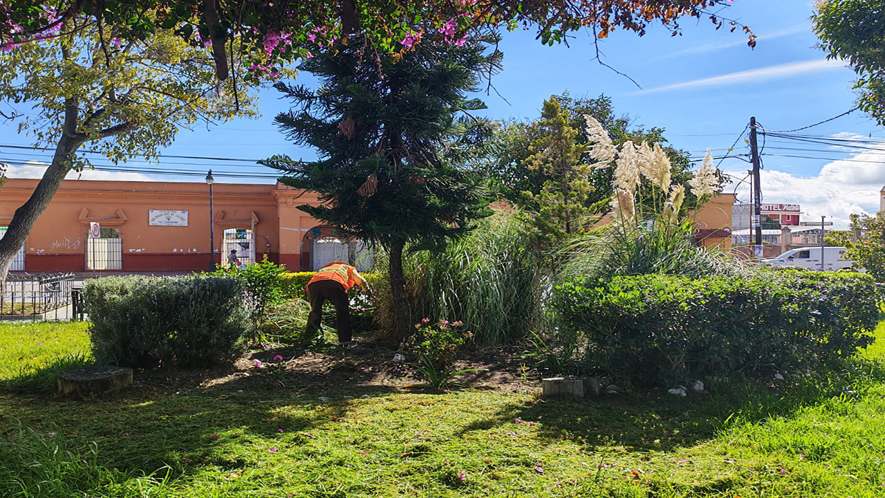 Gobierno Municipal de Ixtenco fortalece limpieza y mantenimiento de áreas verdes